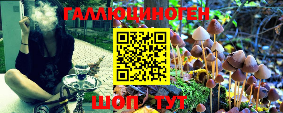 Галлюциногенные грибы MAGIC MUSHROOMS  Вход с VPN  наркота  Якутск 
